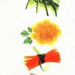 The Book of Garnishes